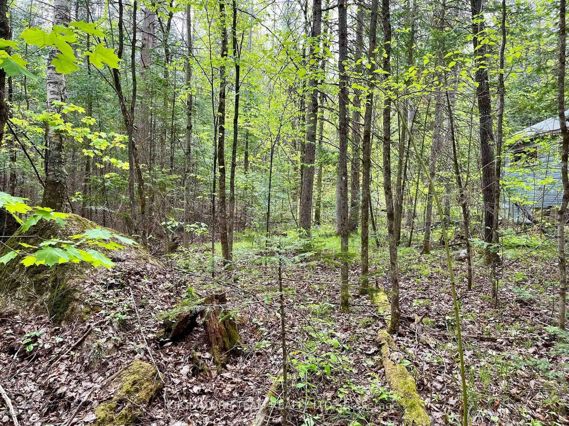 Photo 10 of 122 Western Drive, Bonnechere Valley, Eganville/Bonnechere Twp — HOMEH