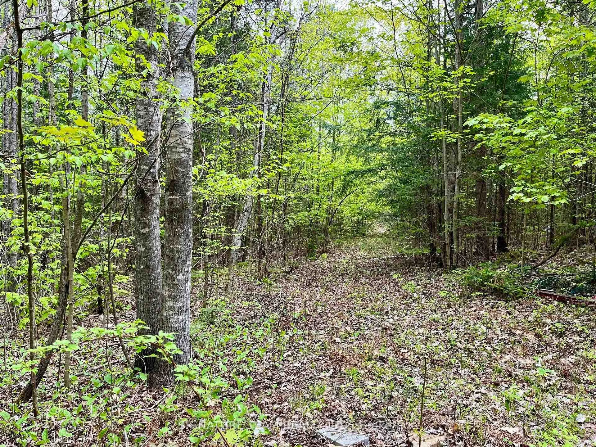 Photo 11 of 122 Western Drive, Bonnechere Valley, Eganville/Bonnechere Twp — HOMEH