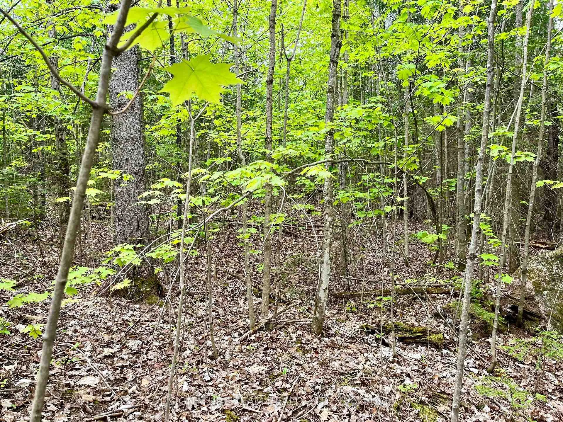Photo 12 of 122 Western Drive, Bonnechere Valley, Eganville/Bonnechere Twp — HOMEH