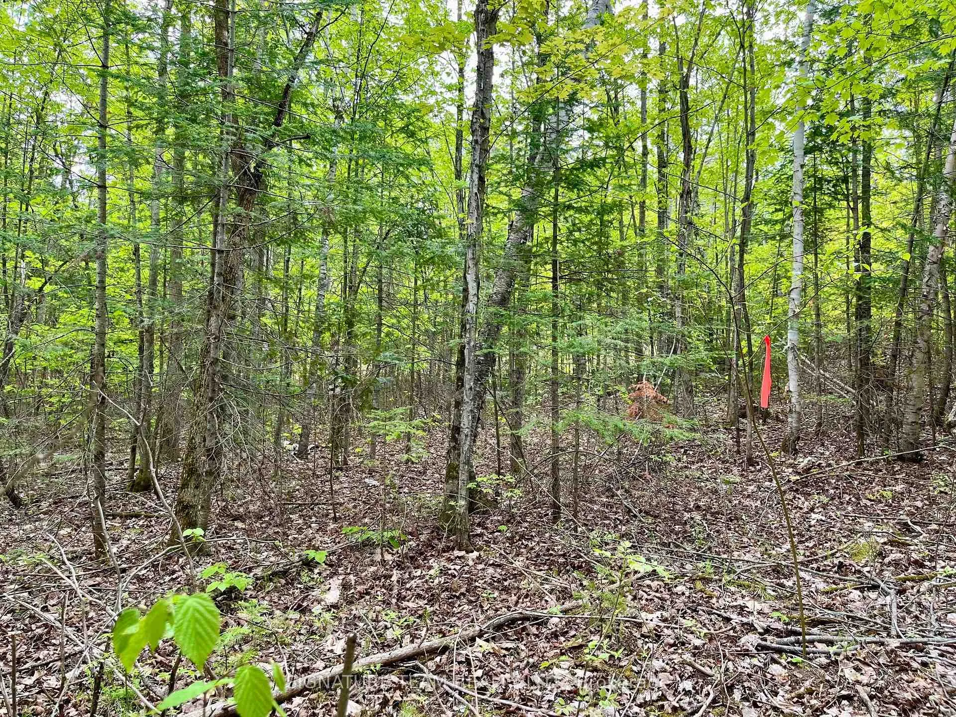Photo 13 of 122 Western Drive, Bonnechere Valley, Eganville/Bonnechere Twp — HOMEH