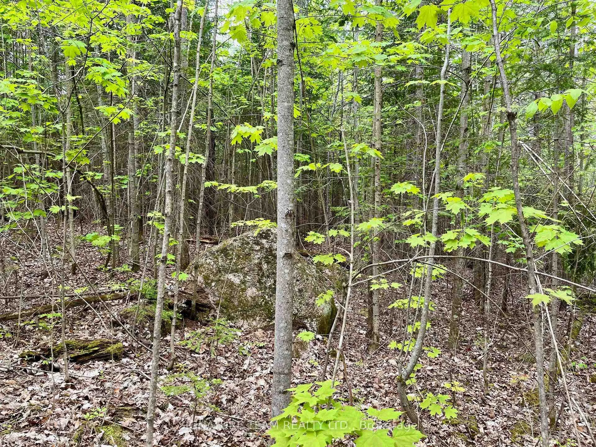 Photo 14 of 122 Western Drive, Bonnechere Valley, Eganville/Bonnechere Twp — HOMEH