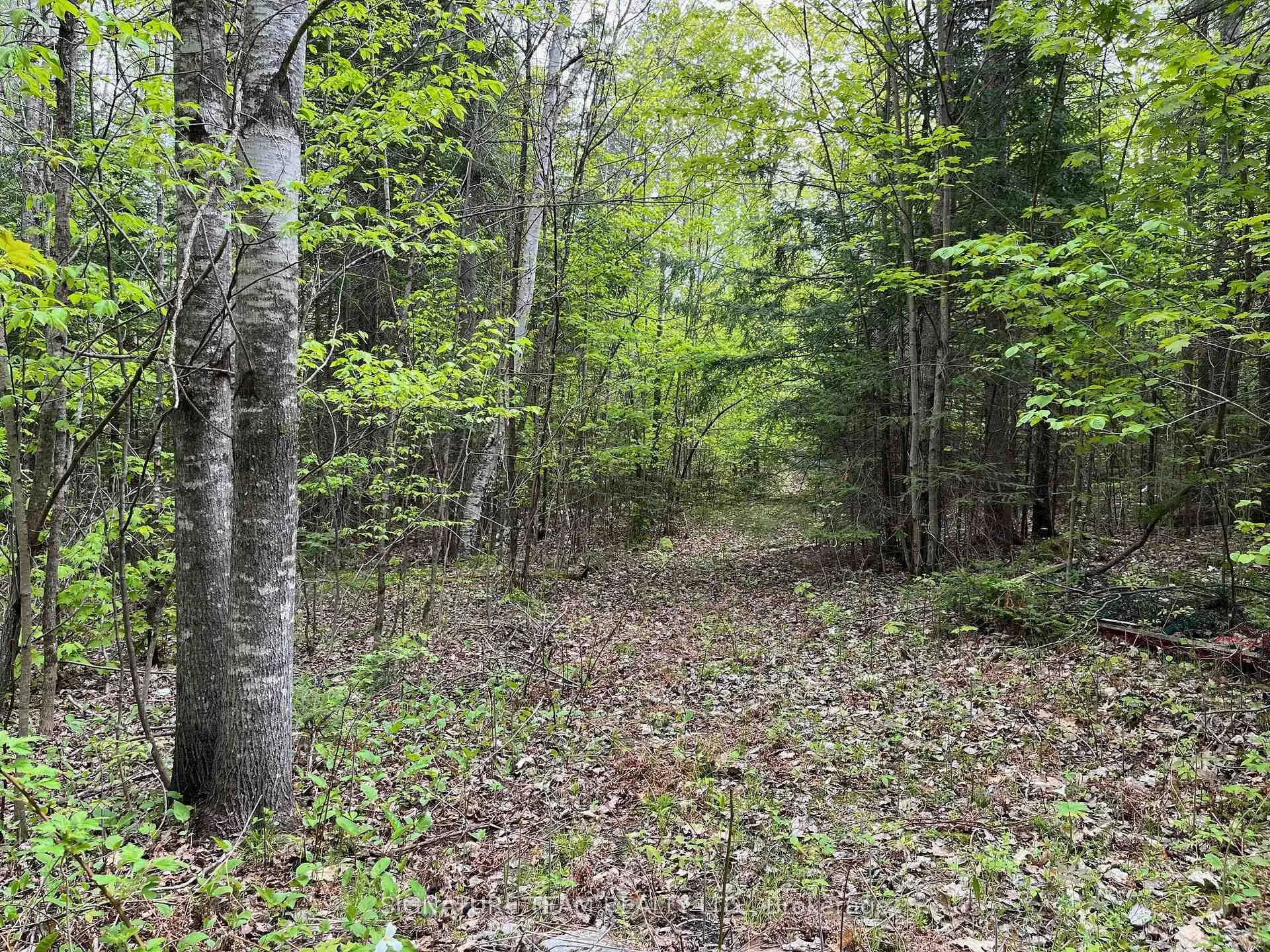 Photo 16 of 122 Western Drive, Bonnechere Valley, Eganville/Bonnechere Twp — HOMEH