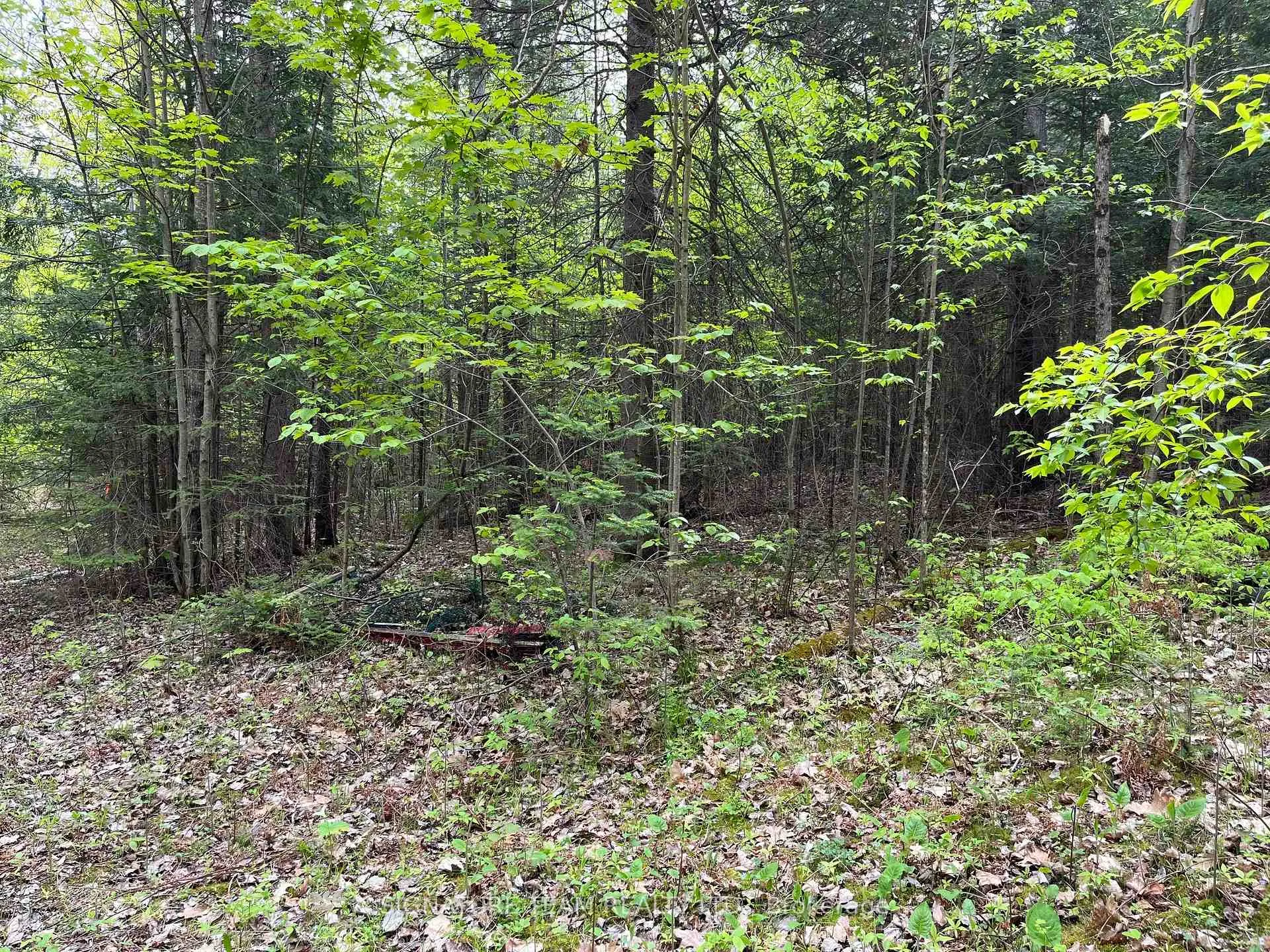Photo 17 of 122 Western Drive, Bonnechere Valley, Eganville/Bonnechere Twp — HOMEH