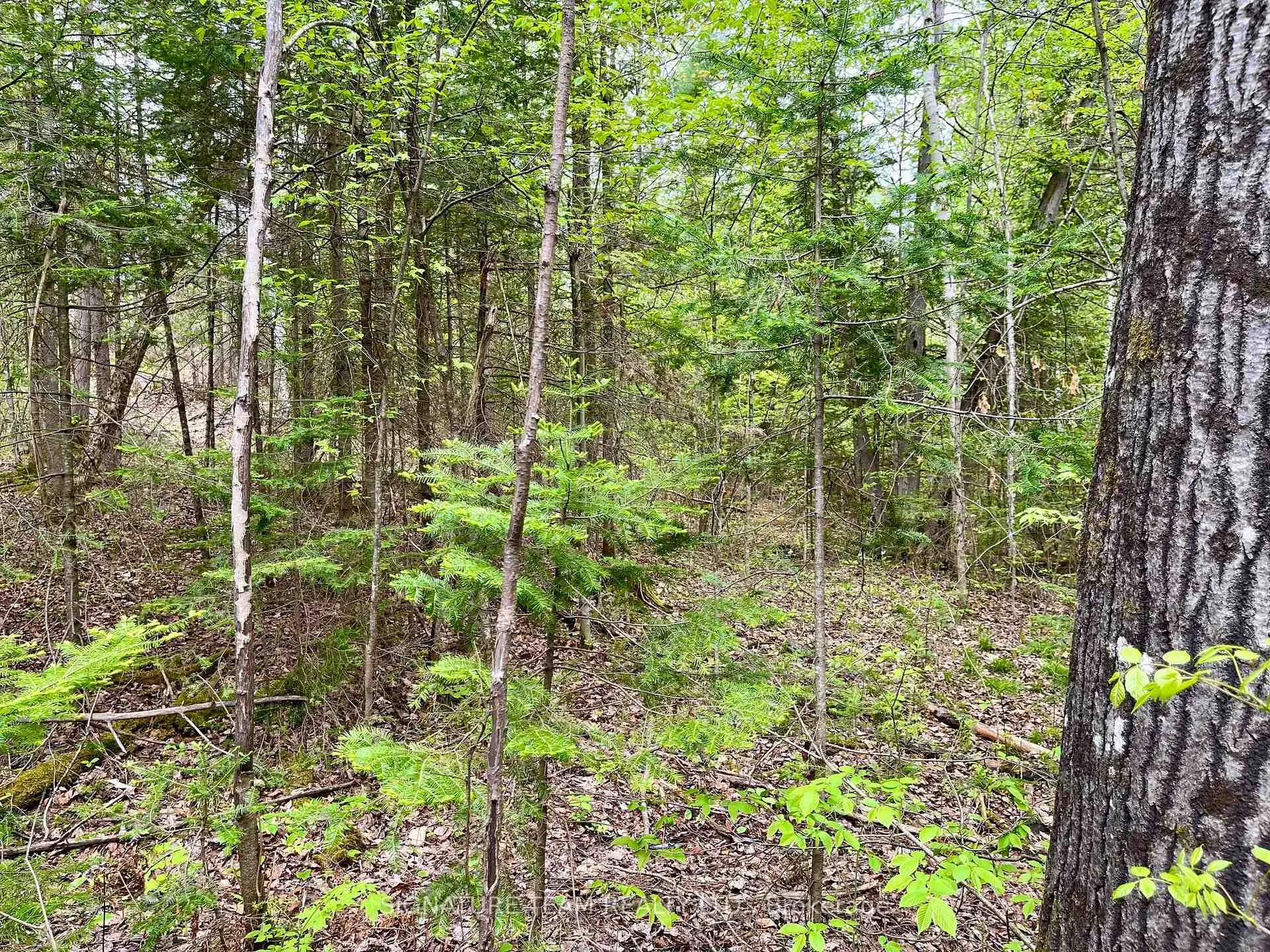 Photo 20 of 122 Western Drive, Bonnechere Valley, Eganville/Bonnechere Twp — HOMEH
