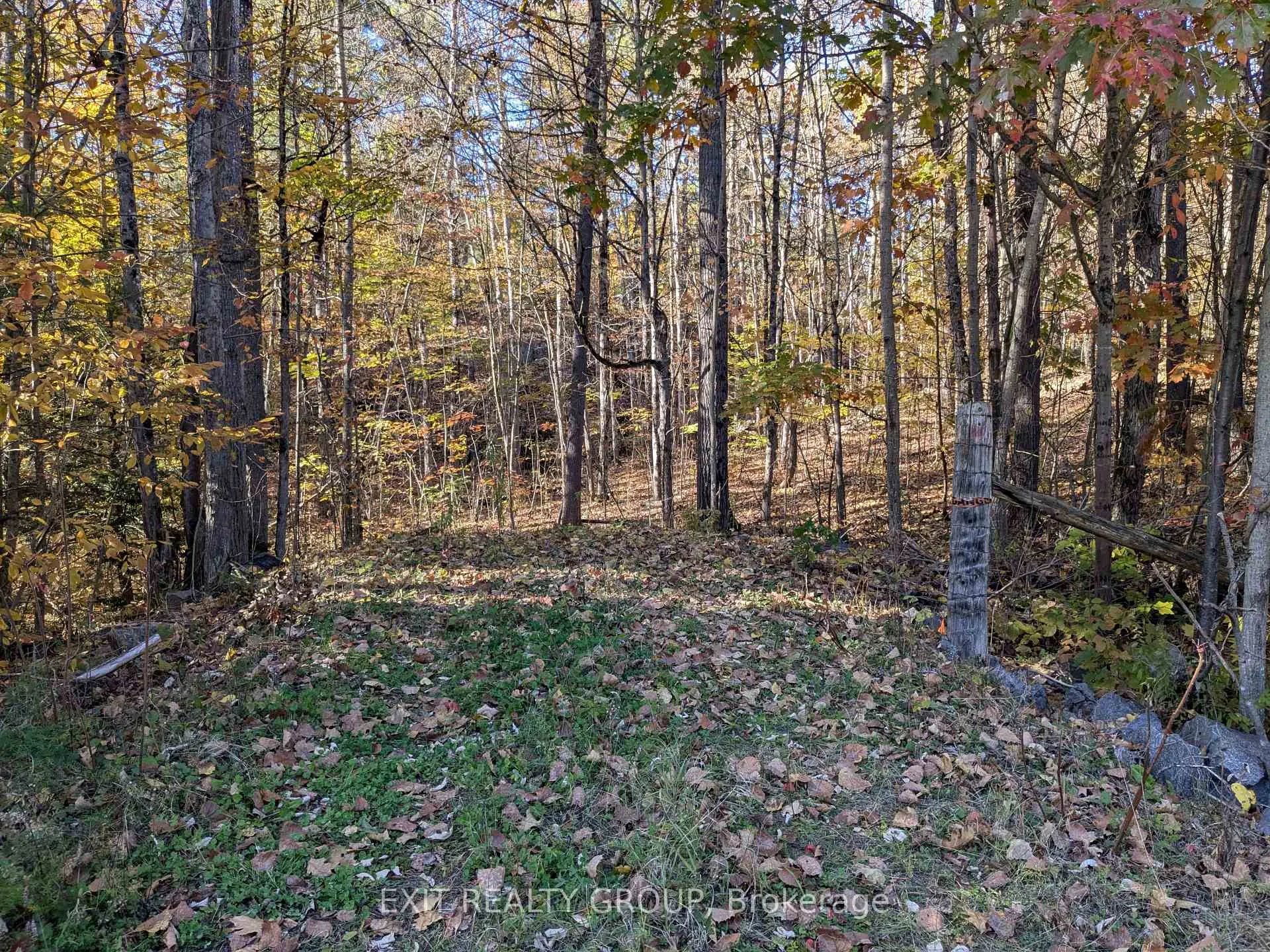 Photo of 0 Flinton Road