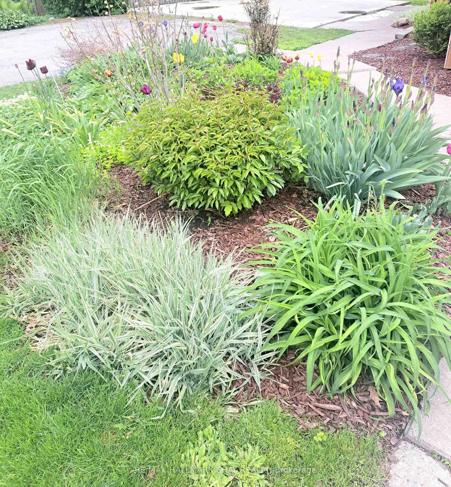 Photo 3 of 25 William Street, Barrie, Allandale — HOMEH