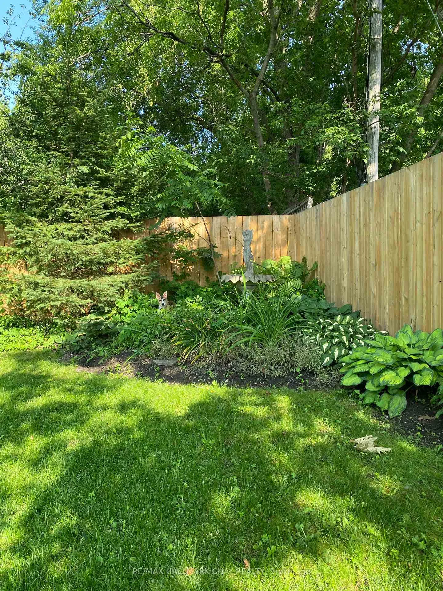 Photo 38 of 25 William Street, Barrie, Allandale — HOMEH