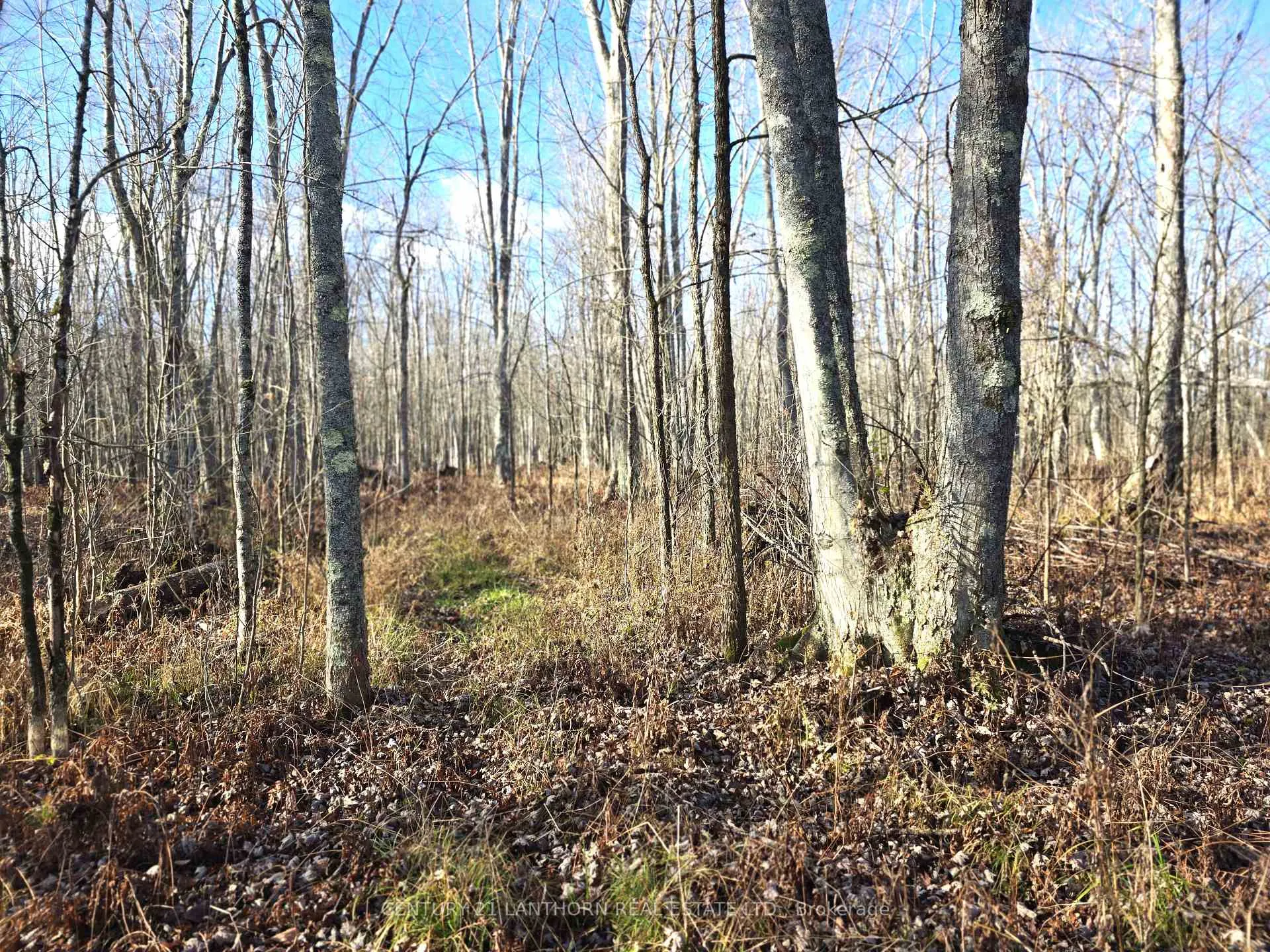 Photo 2 of Enright Road, Tyendinaga, Tyendinaga Township — HOMEH