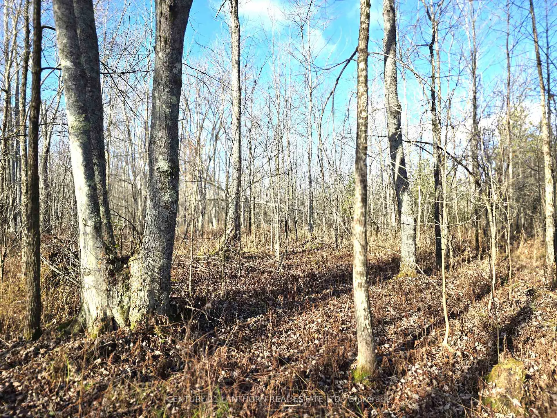 Photo 3 of Enright Road, Tyendinaga, Tyendinaga Township — HOMEH