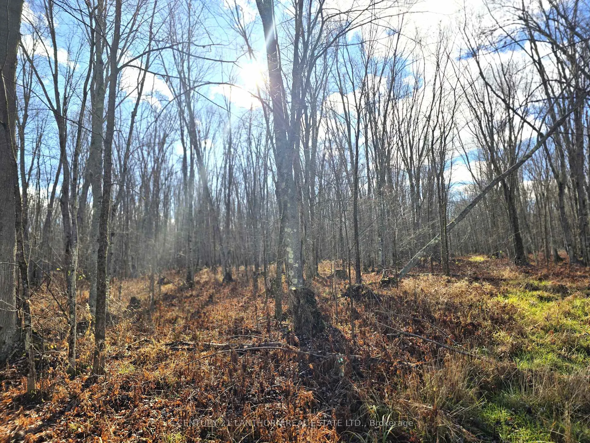 Photo 4 of Enright Road, Tyendinaga, Tyendinaga Township — HOMEH
