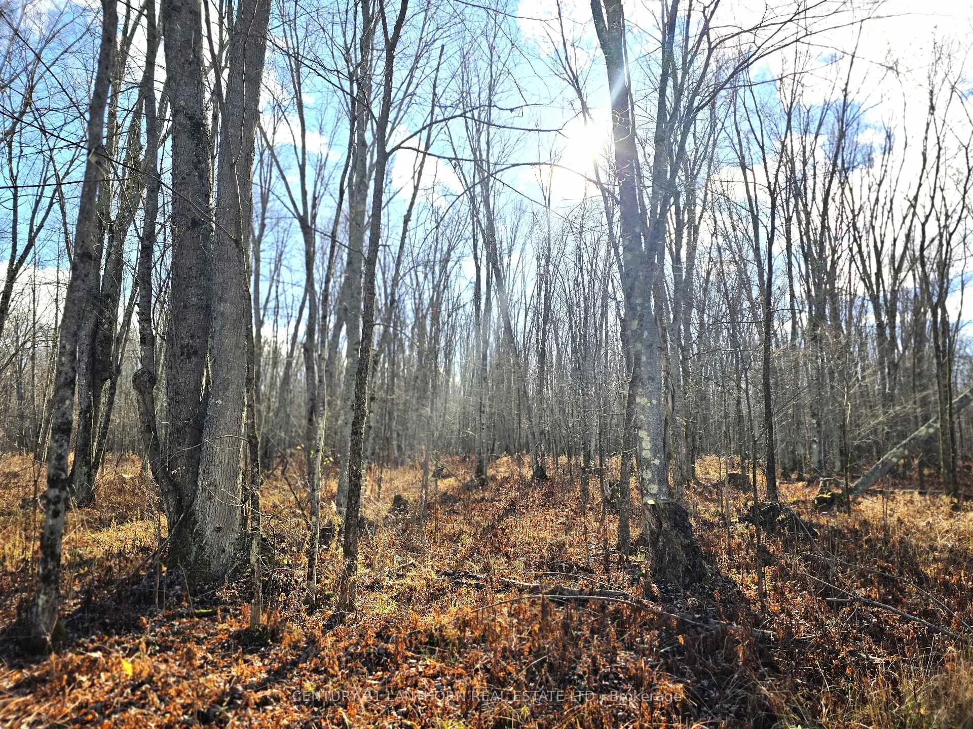 Photo 5 of Enright Road, Tyendinaga, Tyendinaga Township — HOMEH