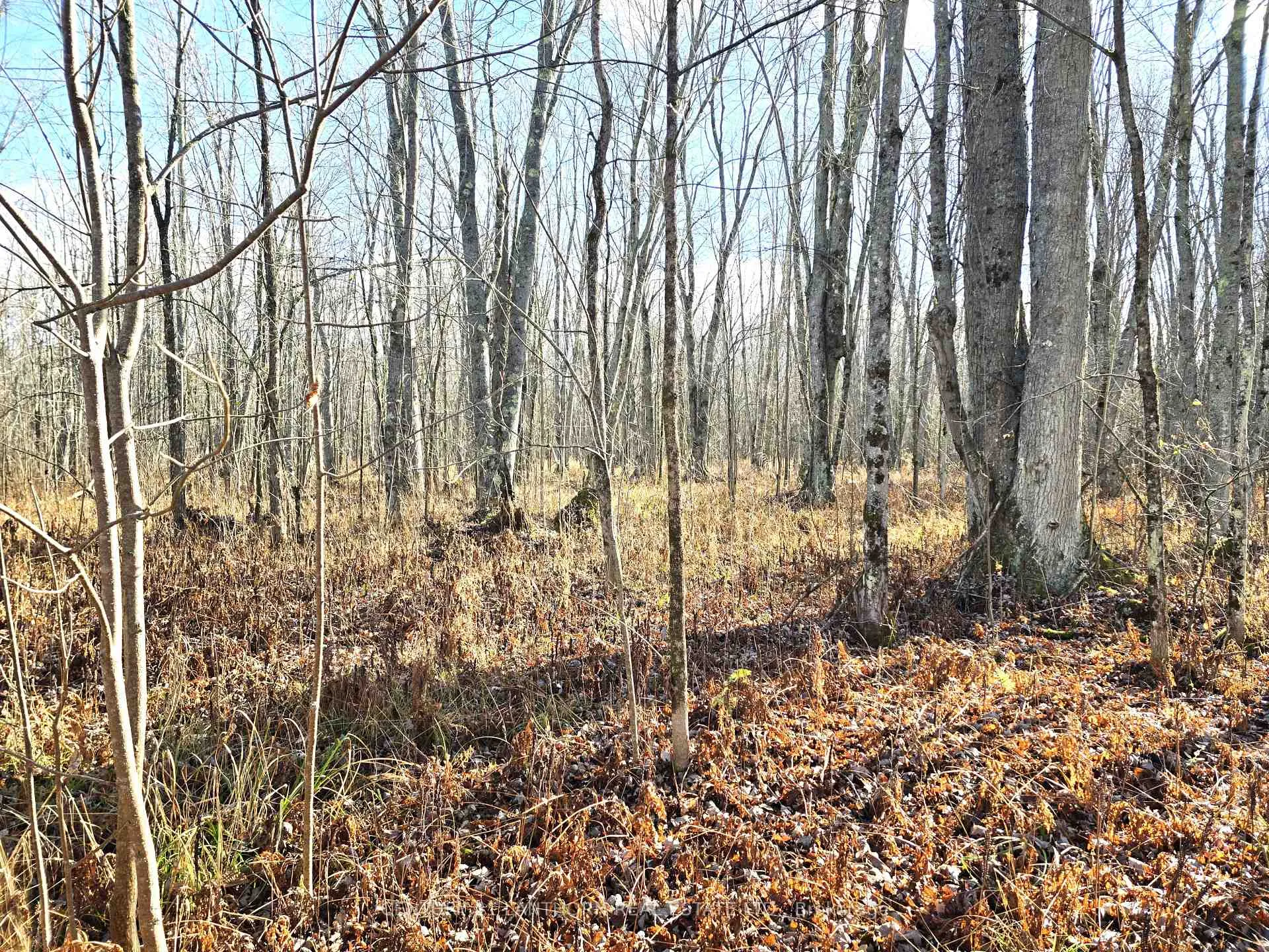 Photo 6 of Enright Road, Tyendinaga, Tyendinaga Township — HOMEH