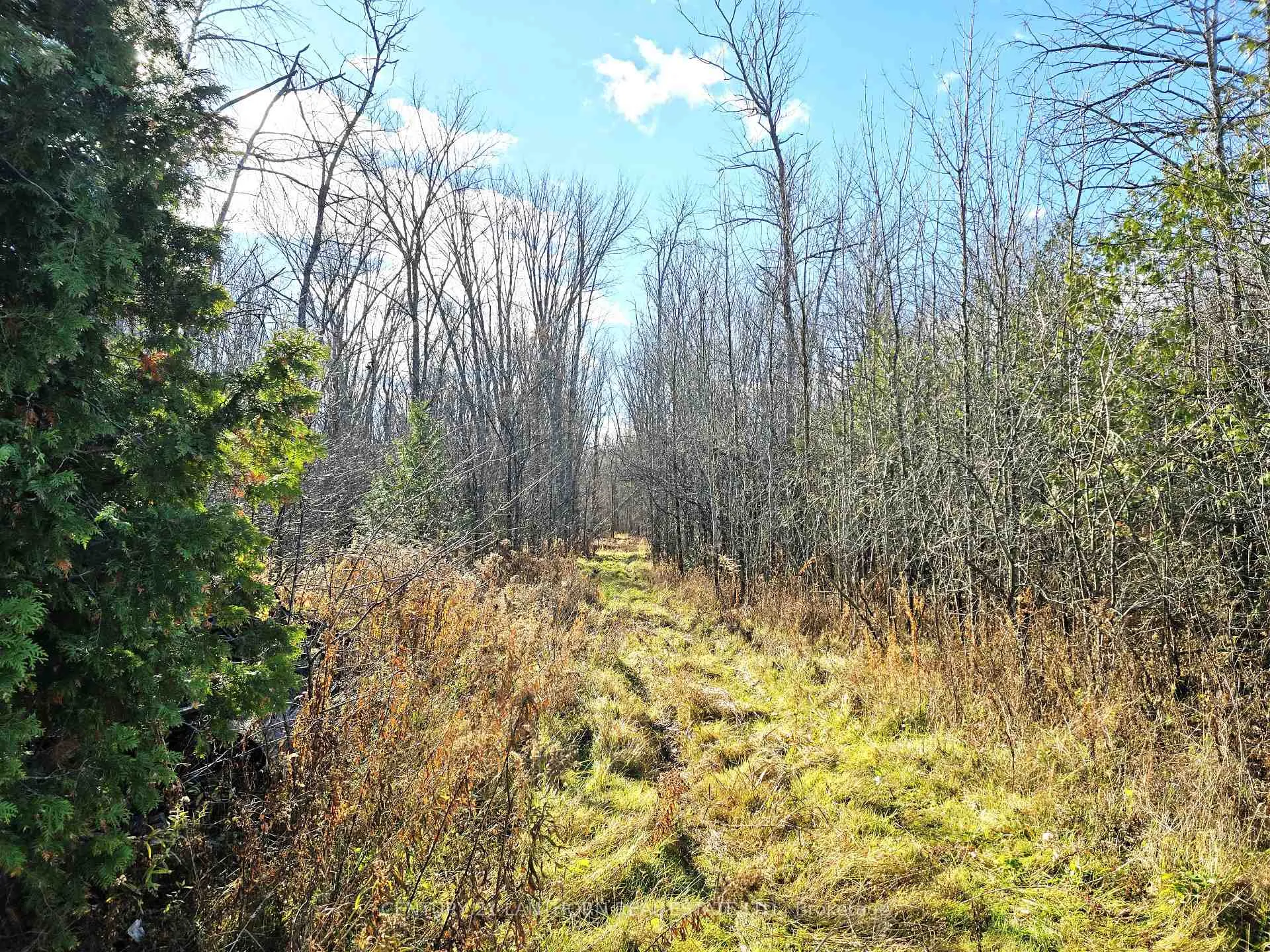 Photo 7 of Enright Road, Tyendinaga, Tyendinaga Township — HOMEH