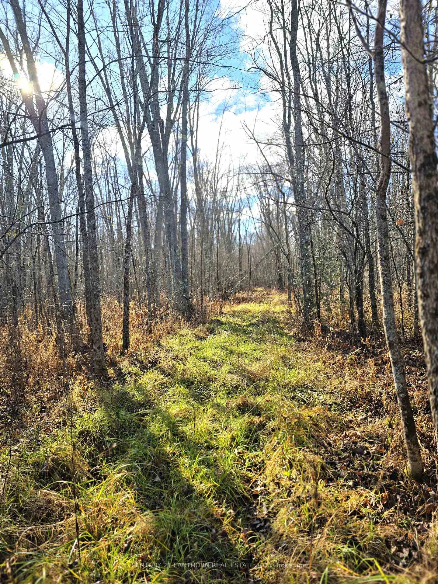 Photo 8 of Enright Road, Tyendinaga, Tyendinaga Township — HOMEH