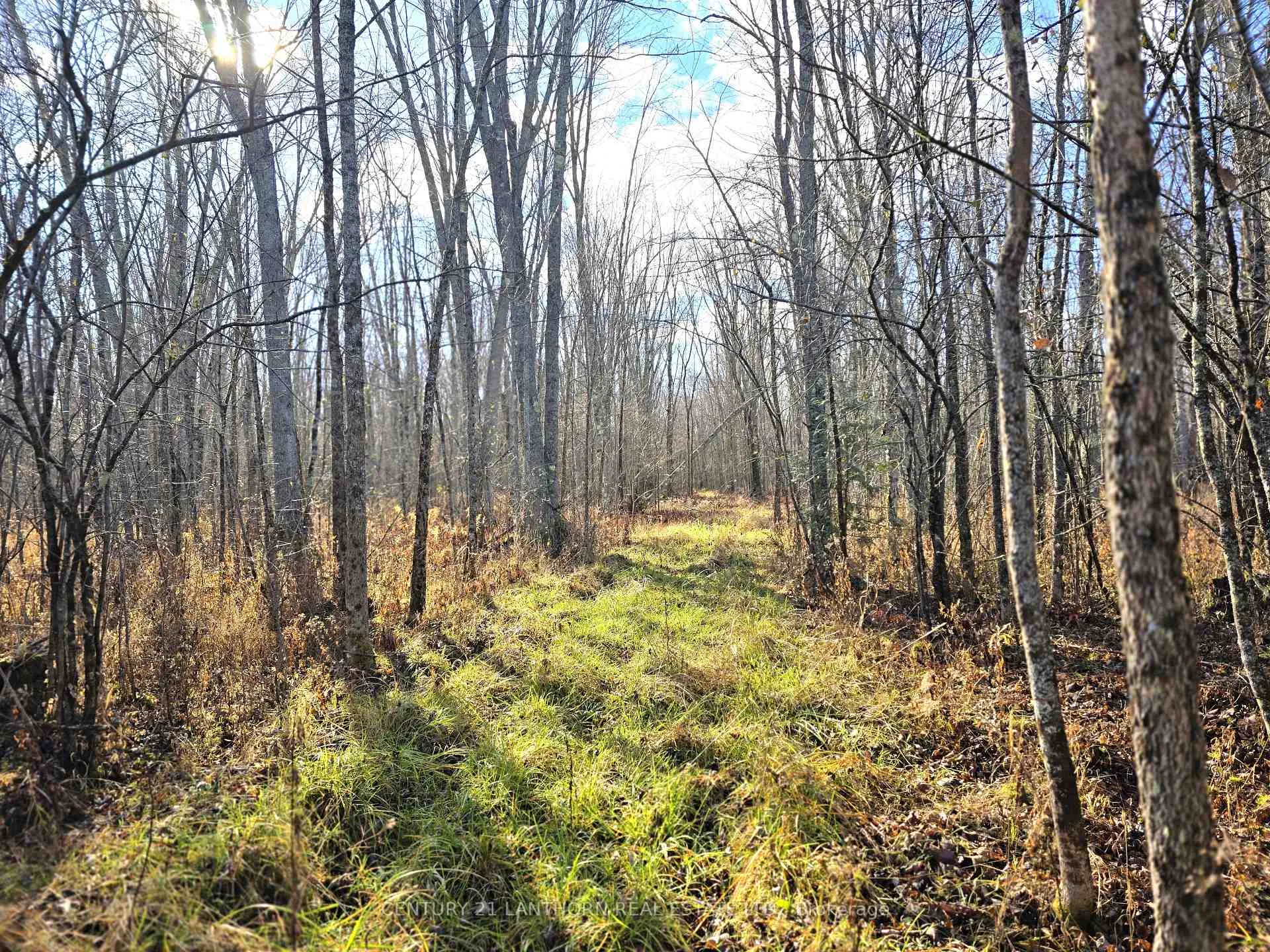 Photo 9 of Enright Road, Tyendinaga, Tyendinaga Township — HOMEH