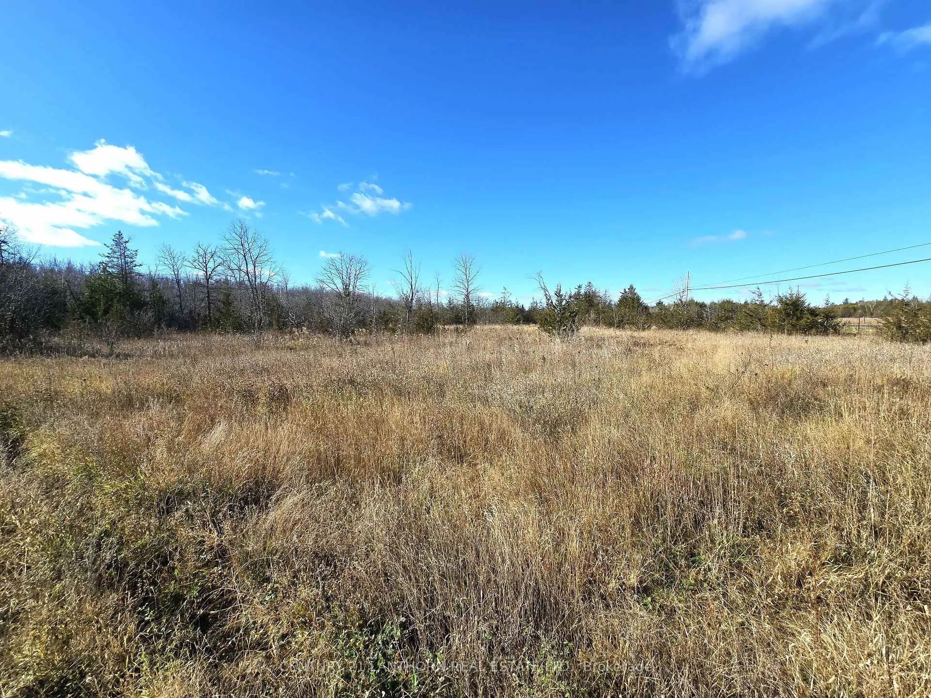 Photo 12 of Enright Road, Tyendinaga, Tyendinaga Township — HOMEH