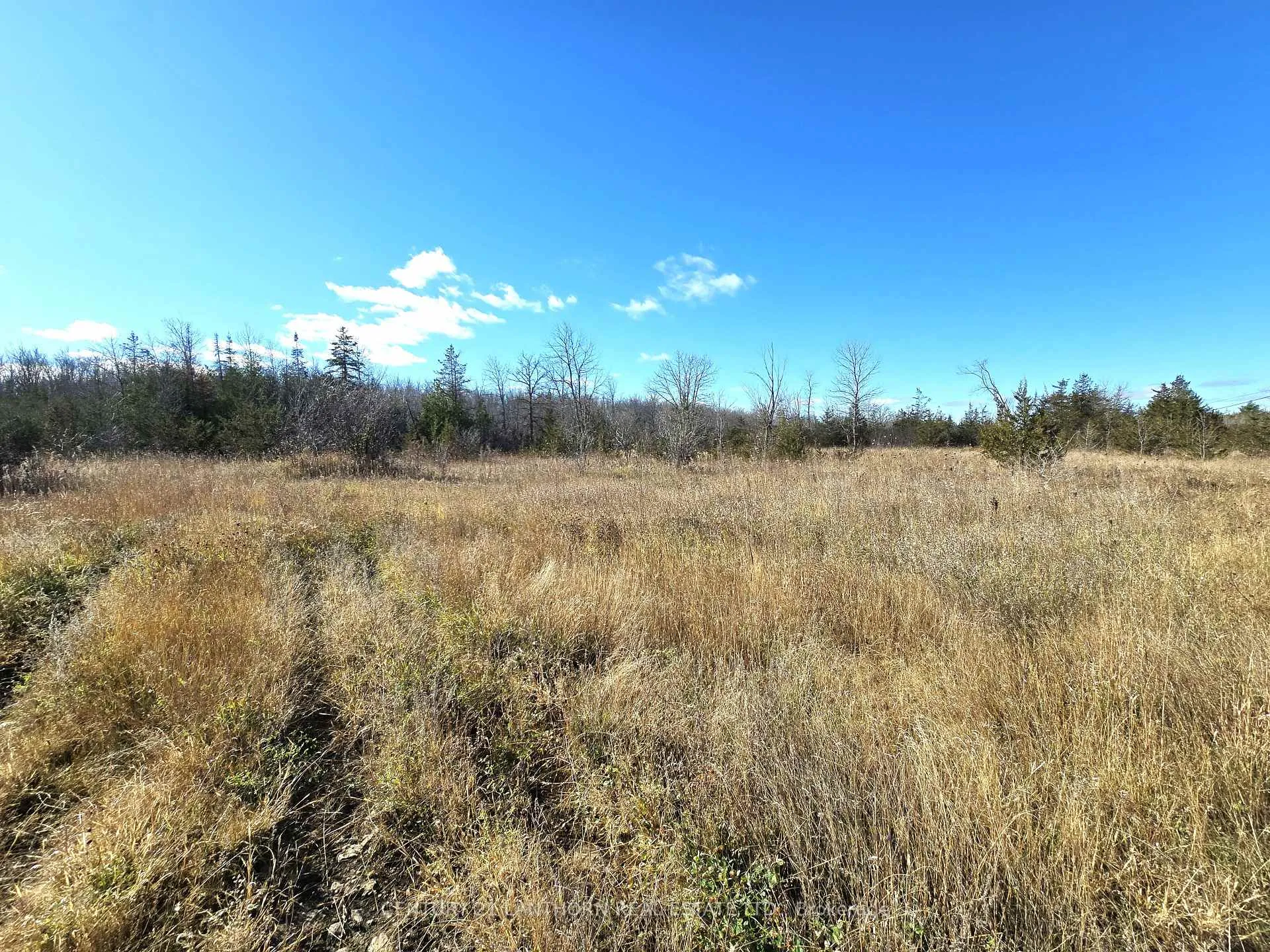 Photo 14 of Enright Road, Tyendinaga, Tyendinaga Township — HOMEH
