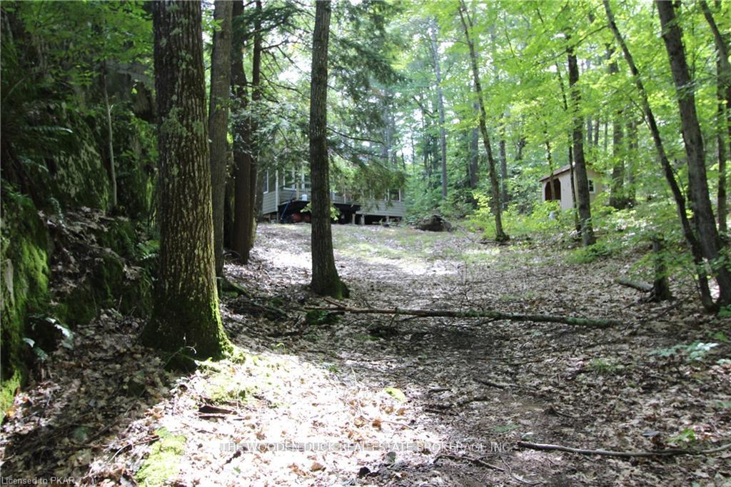 Photo 17 of Lot B Kehoe Lane, Tweed, Elzevir (Twp) — HOMEH