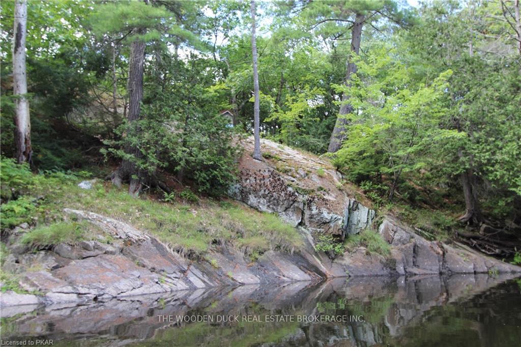 Photo 20 of Lot B Kehoe Lane, Tweed, Elzevir (Twp) — HOMEH