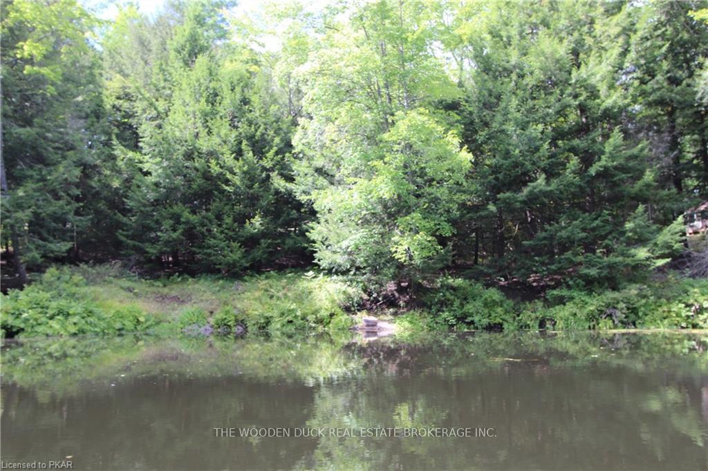 Photo 22 of Lot B Kehoe Lane, Tweed, Elzevir (Twp) — HOMEH