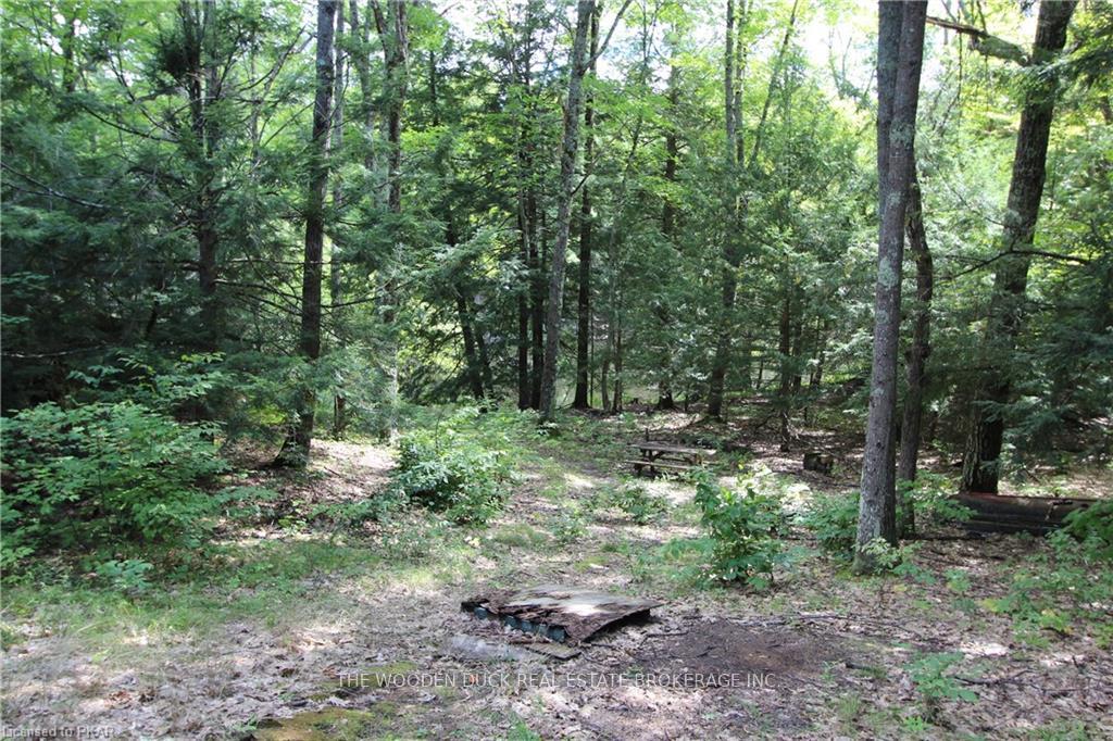 Photo 28 of Lot B Kehoe Lane, Tweed, Elzevir (Twp) — HOMEH