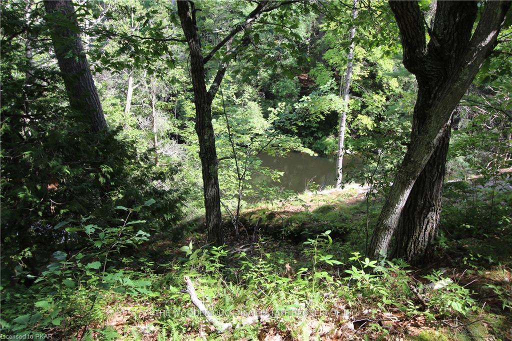 Photo 29 of Lot B Kehoe Lane, Tweed, Elzevir (Twp) — HOMEH