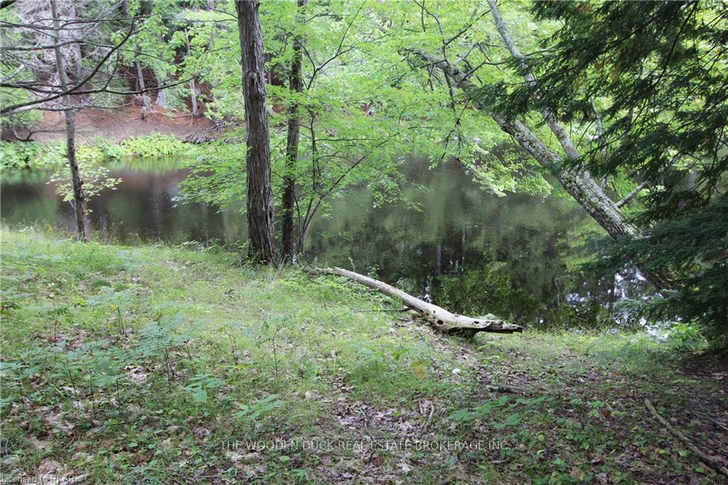 Photo 30 of Lot B Kehoe Lane, Tweed, Elzevir (Twp) — HOMEH