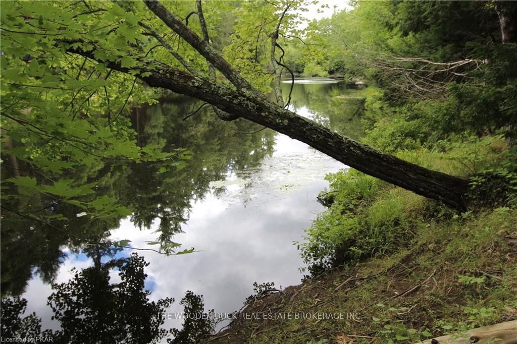 Photo 31 of Lot B Kehoe Lane, Tweed, Elzevir (Twp) — HOMEH
