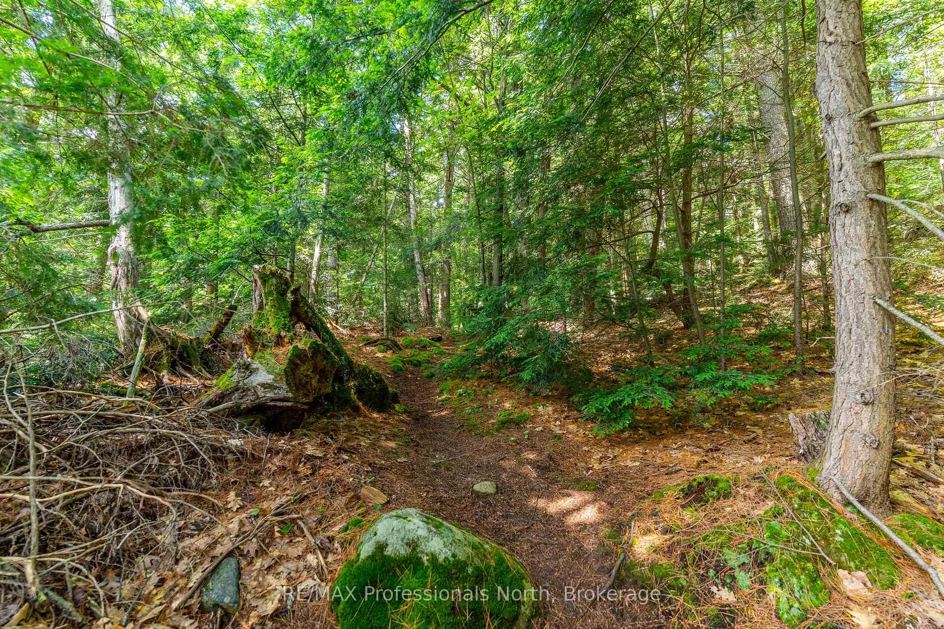 Photo 24 of 53437 Big Hawk Lake, Algonquin Highlands, Stanhope — HOMEH