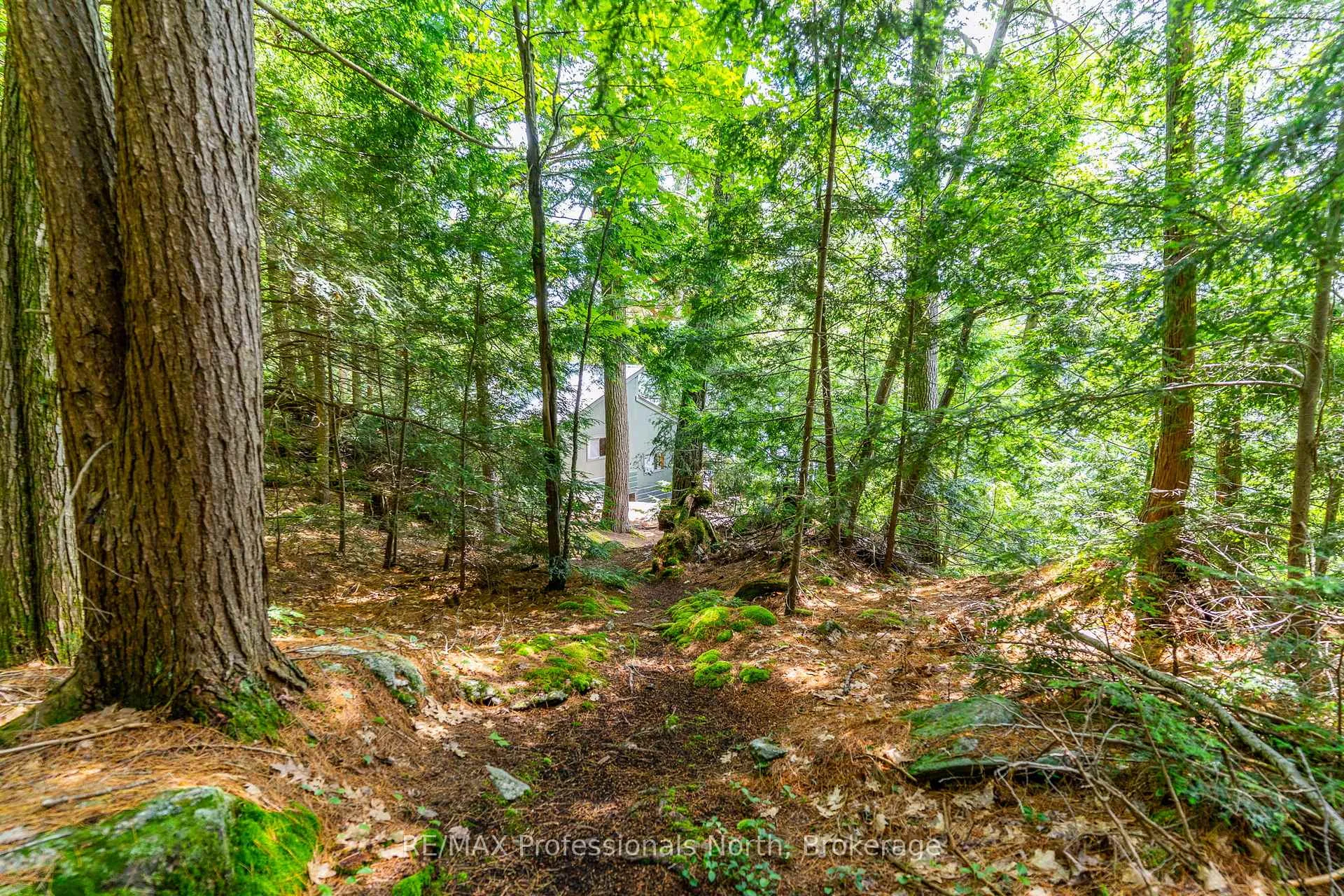 Photo 26 of 53437 Big Hawk Lake, Algonquin Highlands, Stanhope — HOMEH