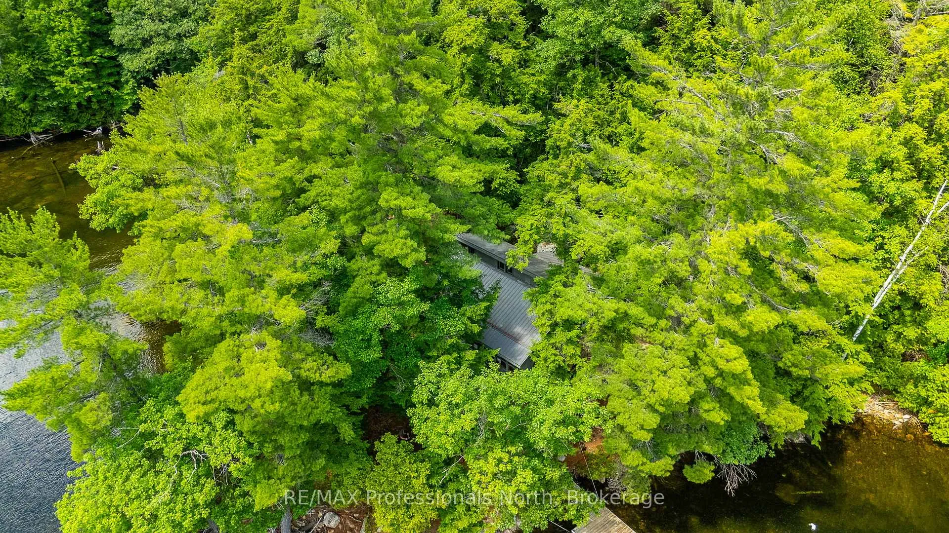 Photo 41 of 53437 Big Hawk Lake, Algonquin Highlands, Stanhope — HOMEH