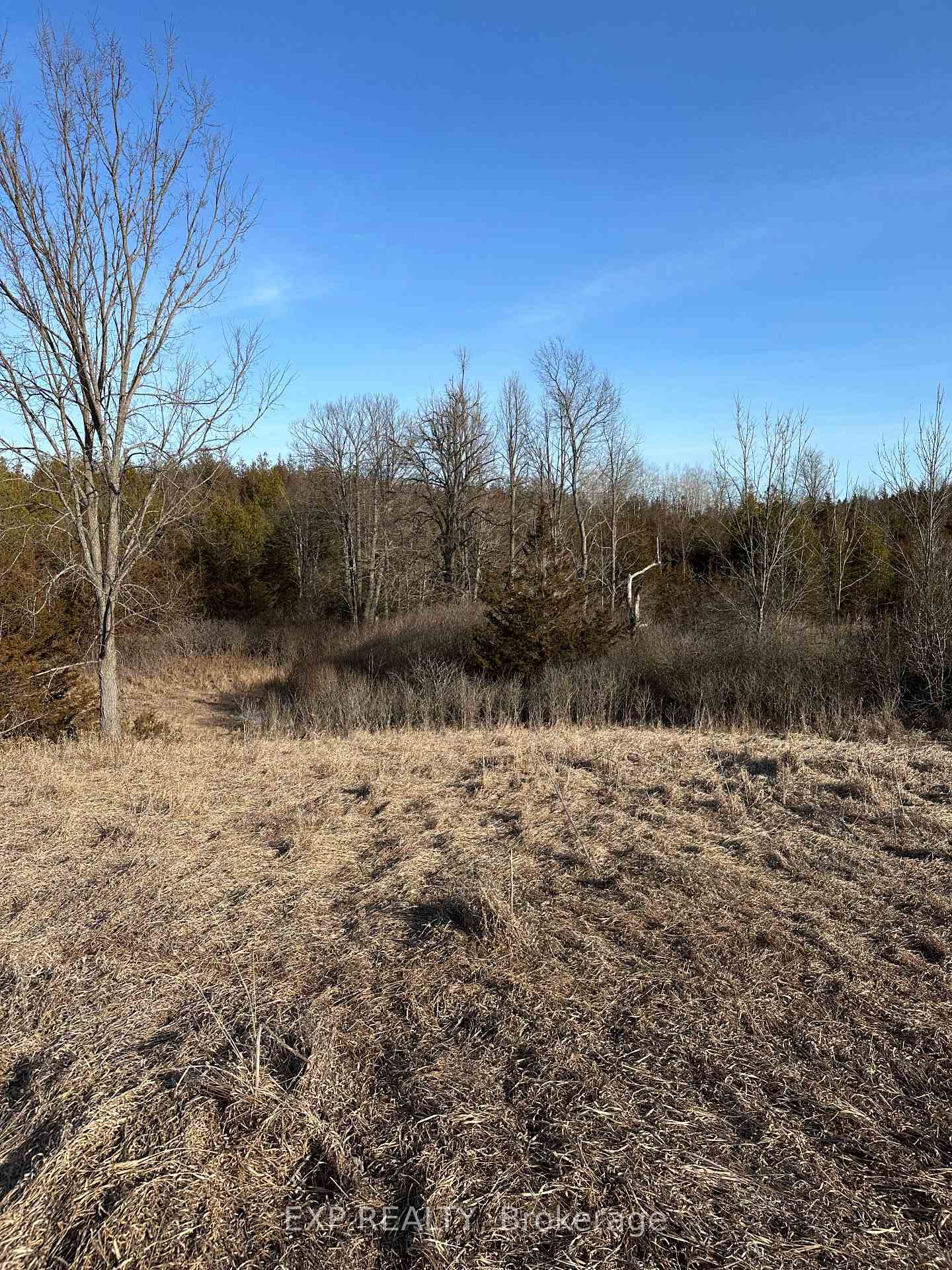 Photo 3 of 02 Phillips Road, Tyendinaga, Tyendinaga Township — HOMEH