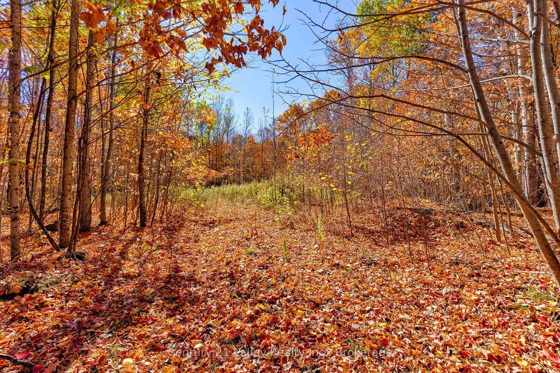 Photo 8 of Gorman Road, Bonnechere Valley, Eganville/Bonnechere Twp — HOMEH