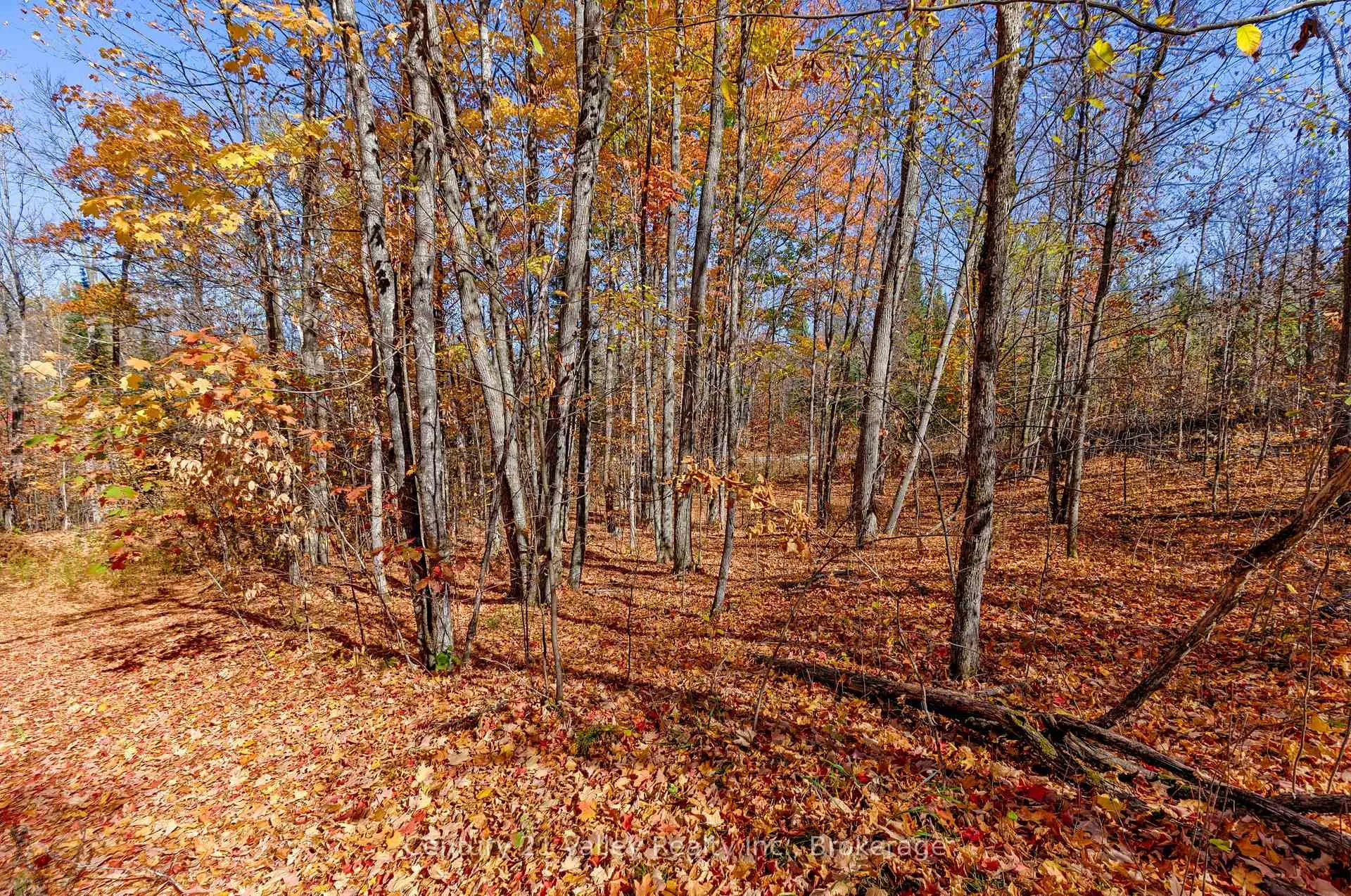 Photo 9 of Gorman Road, Bonnechere Valley, Eganville/Bonnechere Twp — HOMEH