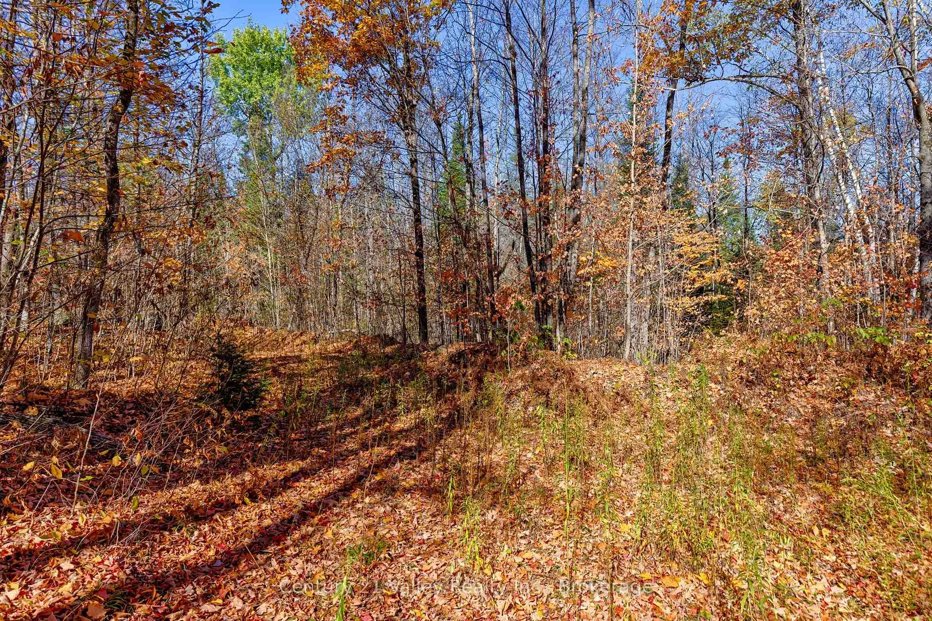 Photo 10 of Gorman Road, Bonnechere Valley, Eganville/Bonnechere Twp — HOMEH