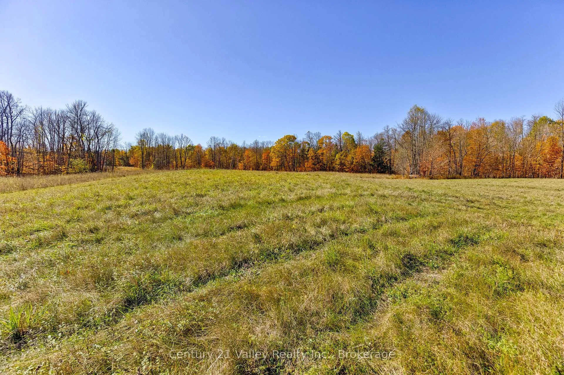 Photo 17 of Gorman Road, Bonnechere Valley, Eganville/Bonnechere Twp — HOMEH