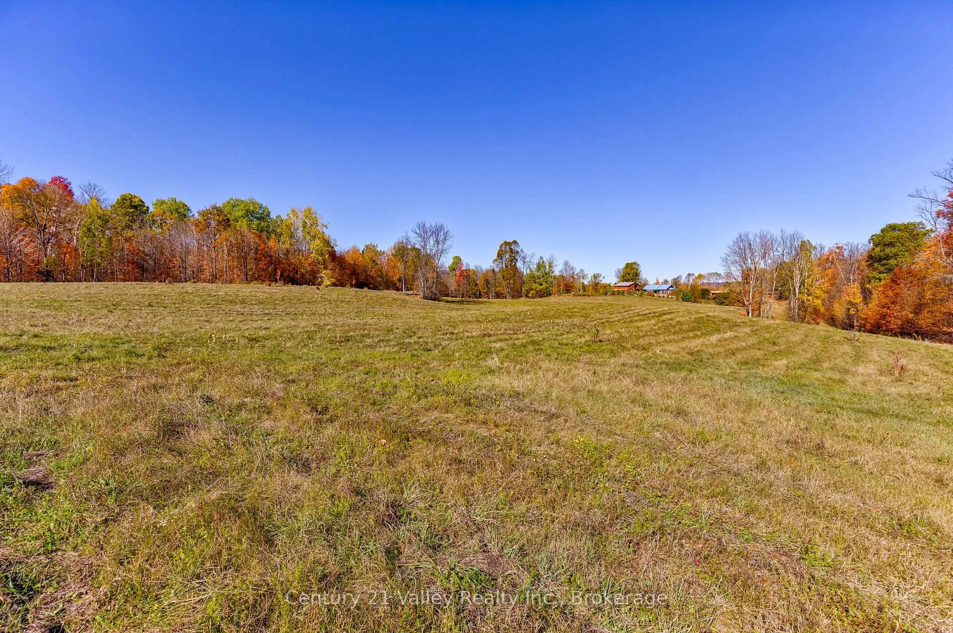 Photo 18 of Gorman Road, Bonnechere Valley, Eganville/Bonnechere Twp — HOMEH