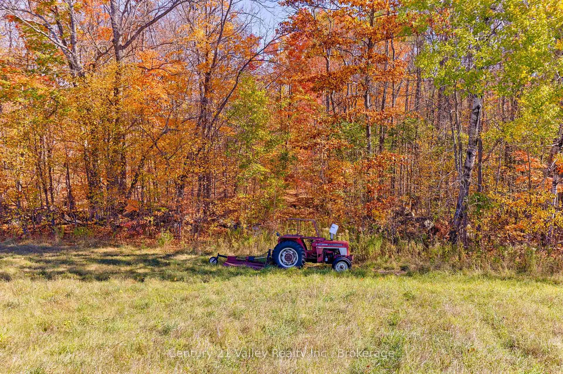 Photo 19 of Gorman Road, Bonnechere Valley, Eganville/Bonnechere Twp — HOMEH