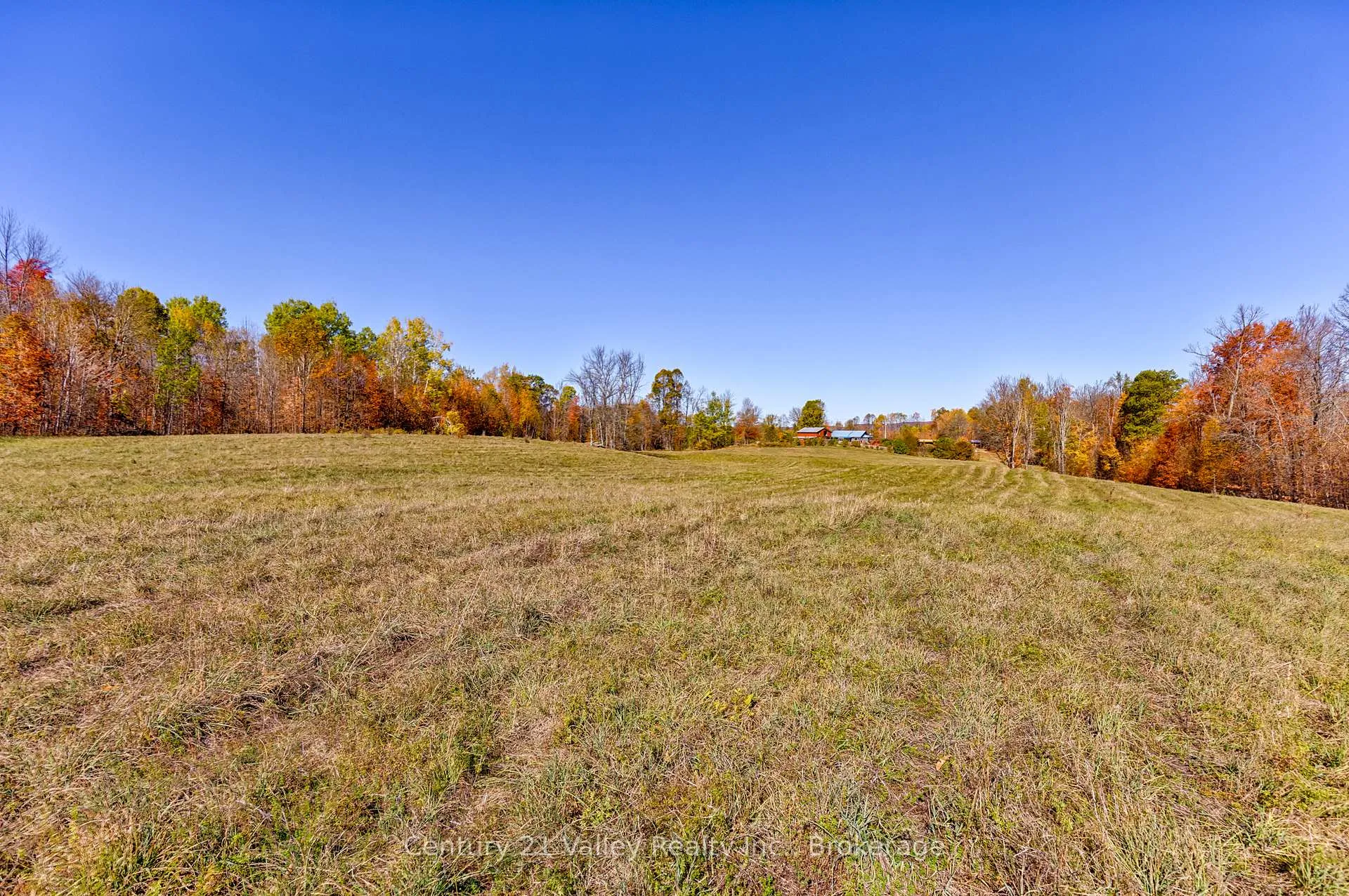 Photo 20 of Gorman Road, Bonnechere Valley, Eganville/Bonnechere Twp — HOMEH