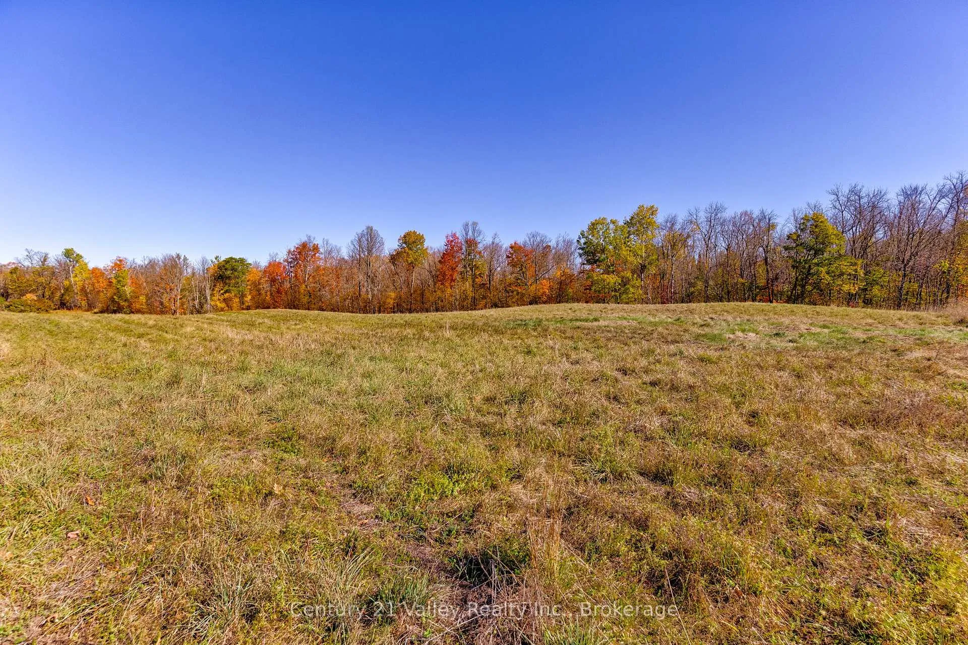 Photo 21 of Gorman Road, Bonnechere Valley, Eganville/Bonnechere Twp — HOMEH