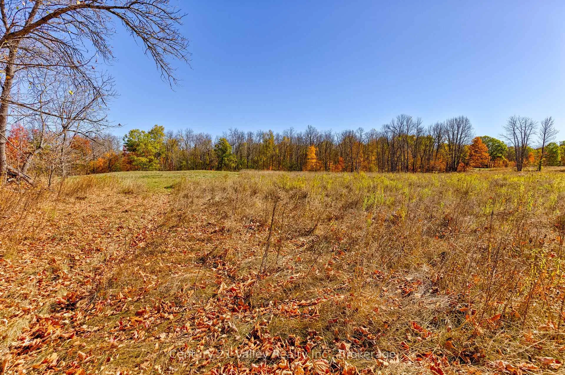 Photo 23 of Gorman Road, Bonnechere Valley, Eganville/Bonnechere Twp — HOMEH