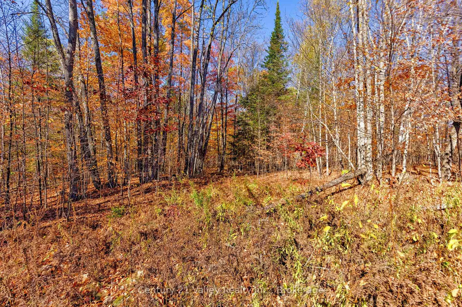 Photo 25 of Gorman Road, Bonnechere Valley, Eganville/Bonnechere Twp — HOMEH