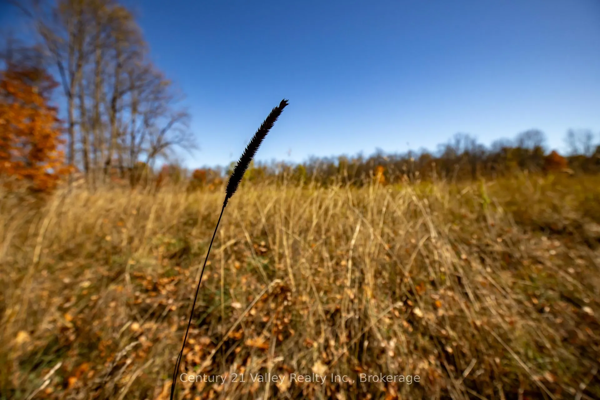 Photo 26 of Gorman Road, Bonnechere Valley, Eganville/Bonnechere Twp — HOMEH