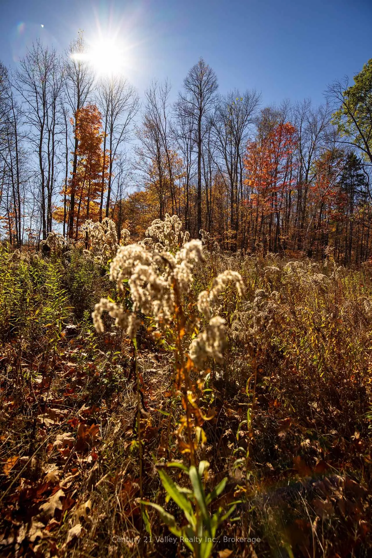 Photo 27 of Gorman Road, Bonnechere Valley, Eganville/Bonnechere Twp — HOMEH