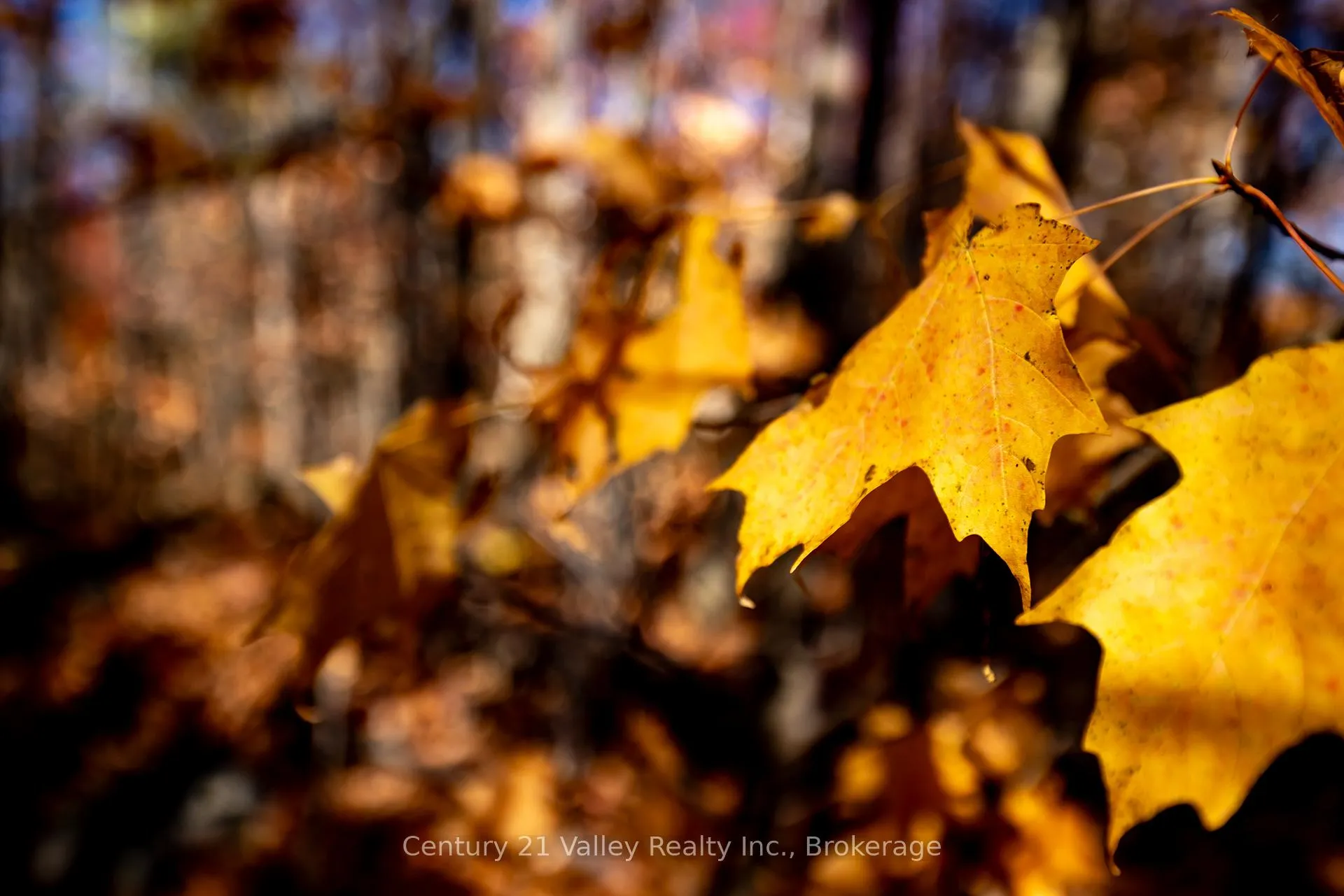Photo 30 of Gorman Road, Bonnechere Valley, Eganville/Bonnechere Twp — HOMEH