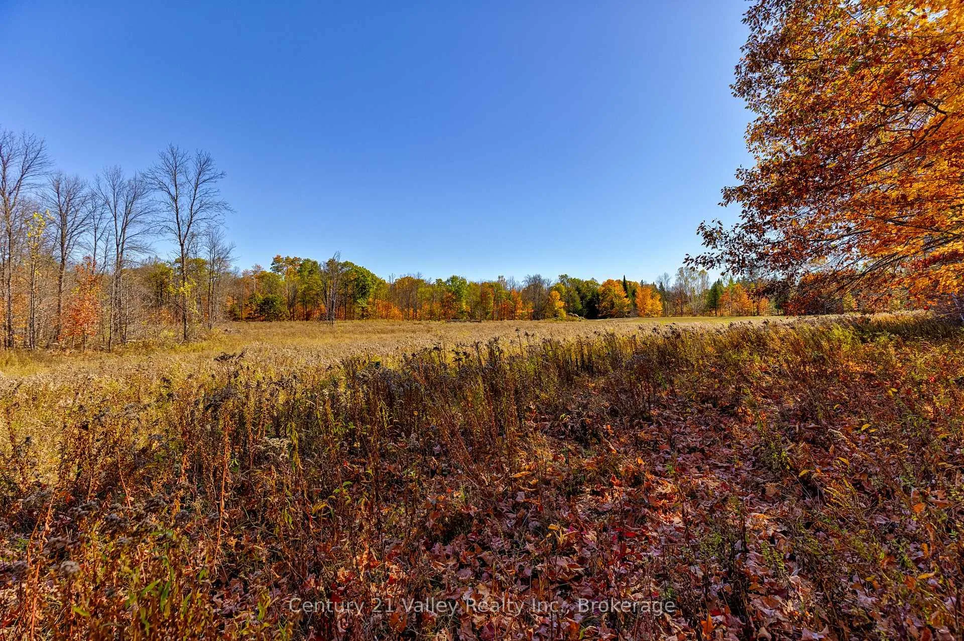 Photo 31 of Gorman Road, Bonnechere Valley, Eganville/Bonnechere Twp — HOMEH