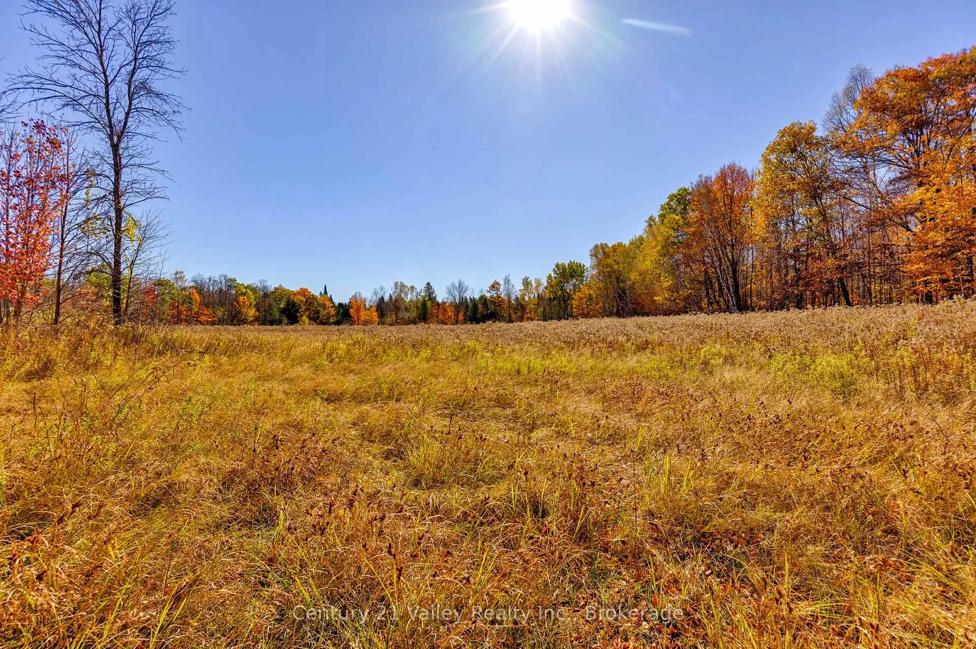 Photo 32 of Gorman Road, Bonnechere Valley, Eganville/Bonnechere Twp — HOMEH