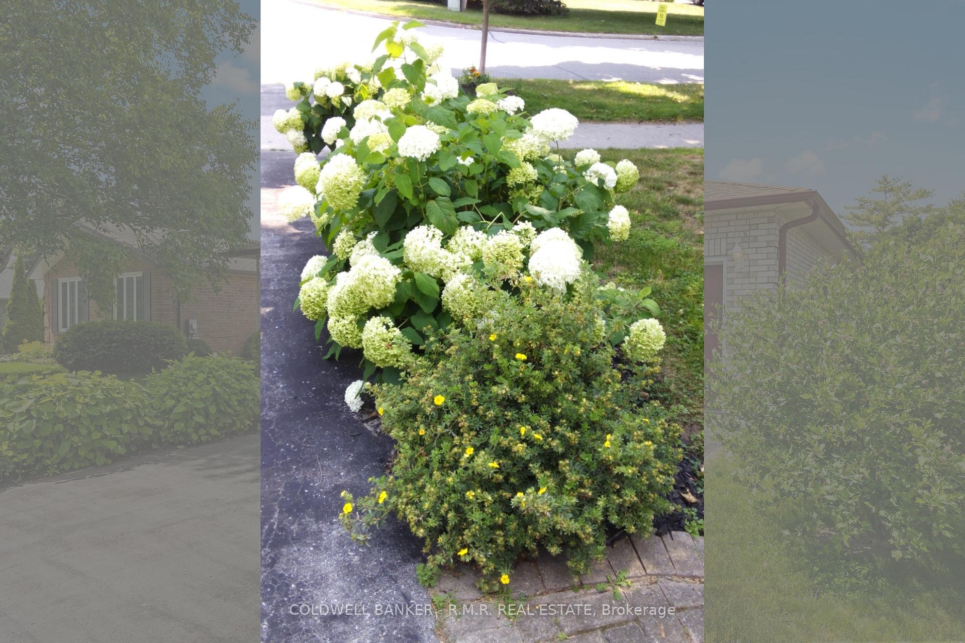 Photo 41 of 39 Ewen Drive, Uxbridge — HOMEH
