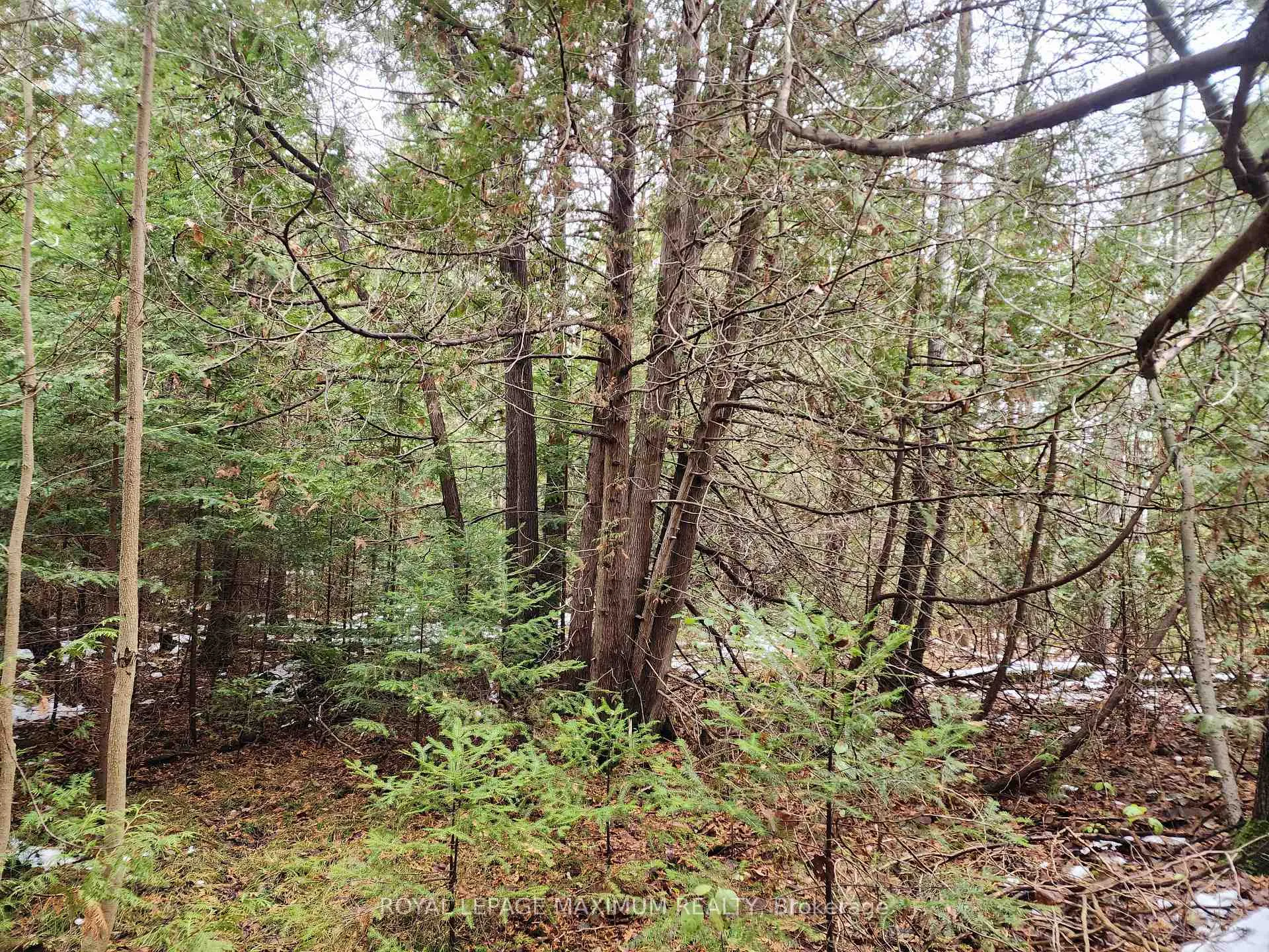 Photo 3 of 10189 Concession 3 Road, Uxbridge, Rural Uxbridge — HOMEH