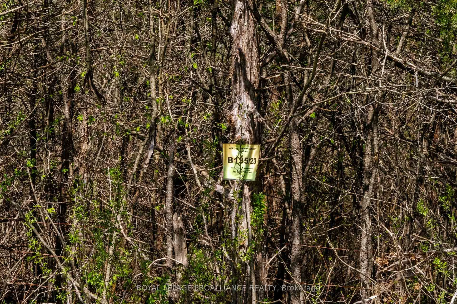 Photo 10 of Callaghan Road, Tyendinaga, Tyendinaga Township — HOMEH